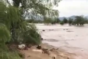 Tiga Orang Hilang Setelah Rumah Mereka Tenggelam Diterjang Banjir Bali